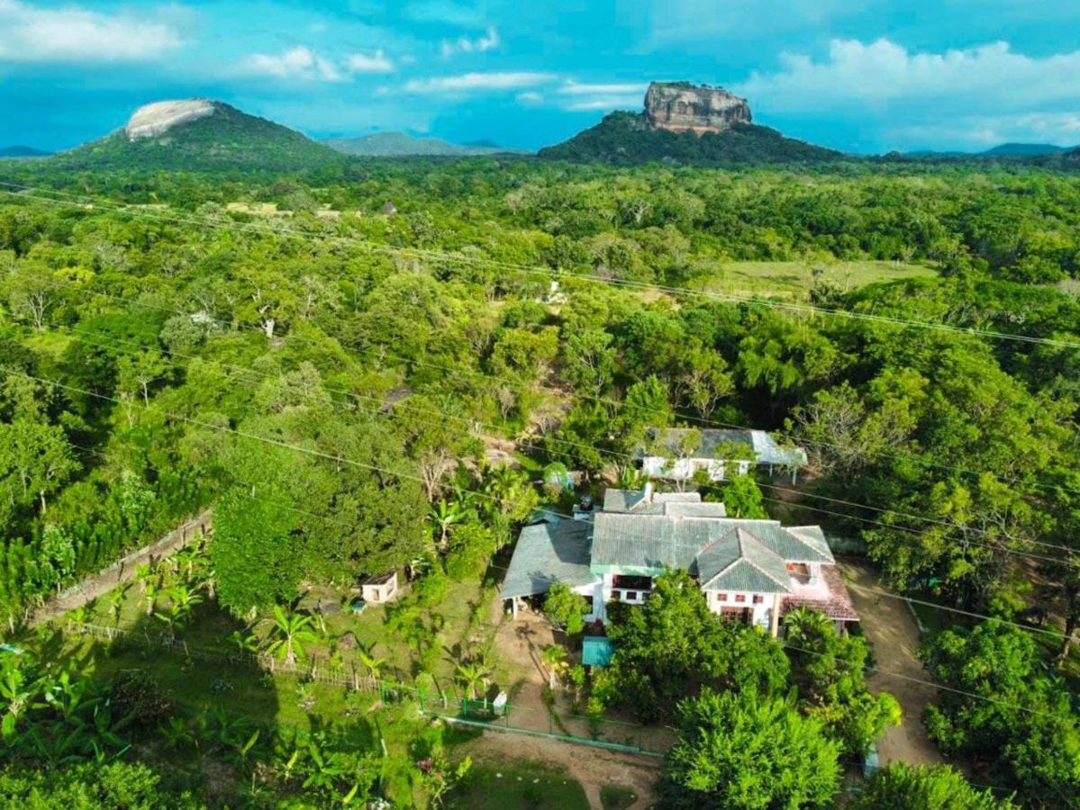 Sinhagiri Villa Sigiriya Exterior foto